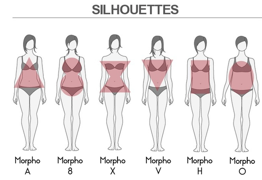 Les différentes silhouettes et morphologie