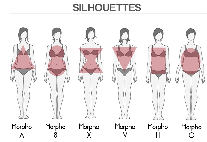 Les différentes silhouettes et morphologie